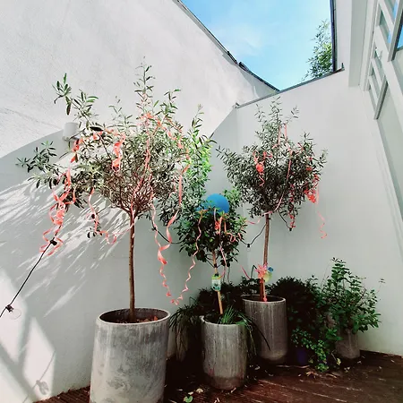 Maison Marsil - Boutique Hotel Koeln Hotel 3*