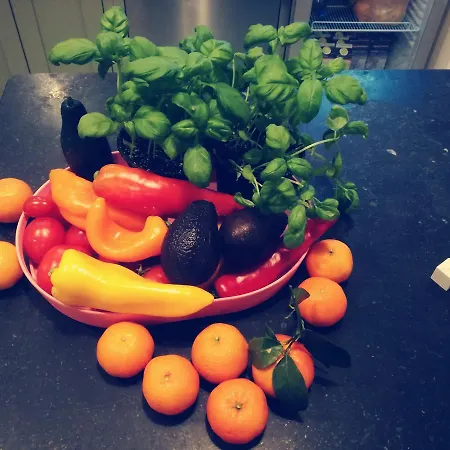 Hotel Maison Marsil - Boutique Hotel Koeln Cologne