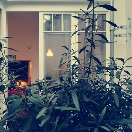 Hotel Maison Marsil - Boutique Hotel Koeln Cologne