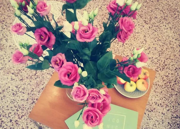 فندق Maison Marsil - Boutique كولونيا