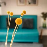 Maison Marsil - Boutique